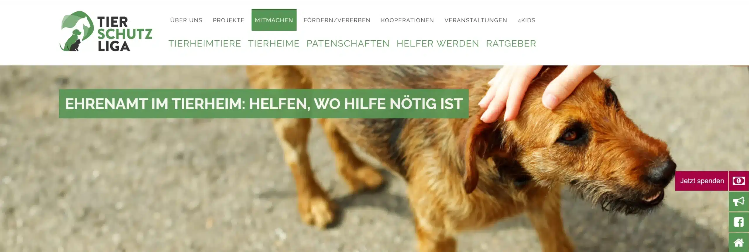 Tierschutzliga-Website als Arbeitsprobe für Verbands-PR und Tierschutz-Kommunikation.